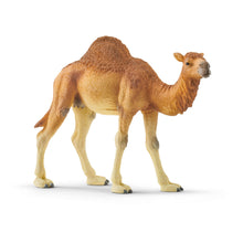 Load image into Gallery viewer, SCHLEICH Wild Life Dromedary Toy Figure (14832)
