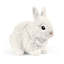 Load image into Gallery viewer, SCHLEICH Farm World Rabbit and Guinea Pig Hutch (42500)
