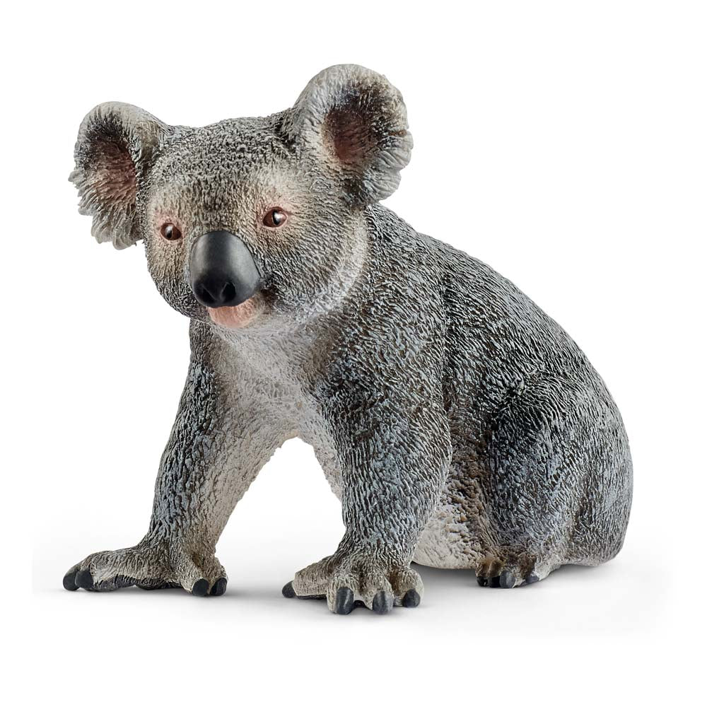 SCHLEICH Wild Life Koala Bear Toy Figure, 3 to 8 Years (14815)