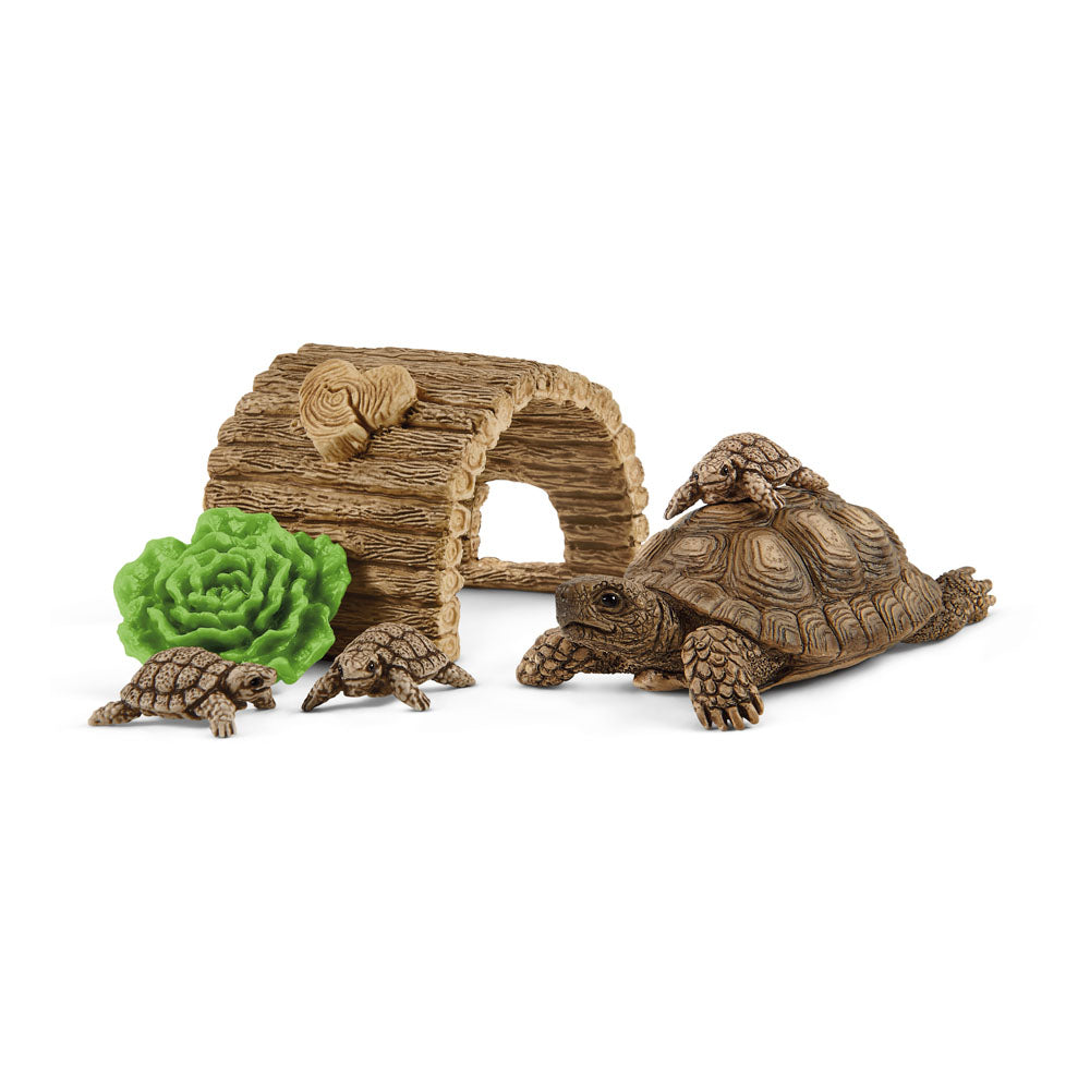SCHLEICH Wild Life Tortoise Home Playset, 3 to 8 Years (42506)