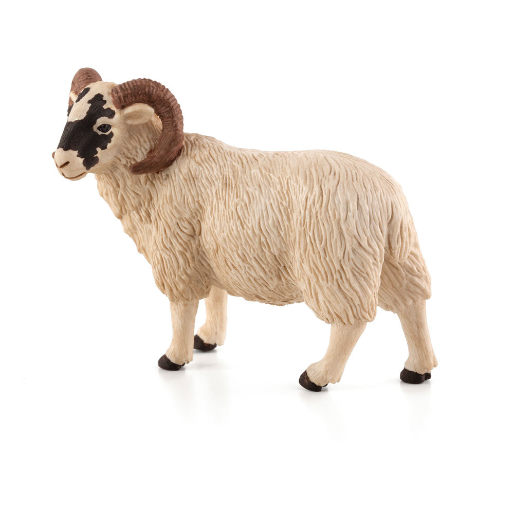 ANIMAL PLANET Black Faced Sheep (Ram) Toy Figure, Unisex, Three Years and Above, White (387081)