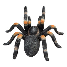 Load image into Gallery viewer, ANIMAL PLANET Red Kneed Tarantula Spider Toy Figure, Unisex, Three Years and Above, Multi-colour (387213)
