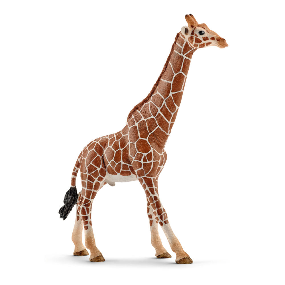 SCHLEICH Wild Life Male Giraffe Toy Figure, Brown/Tan, 3 to 8 Years (14749)