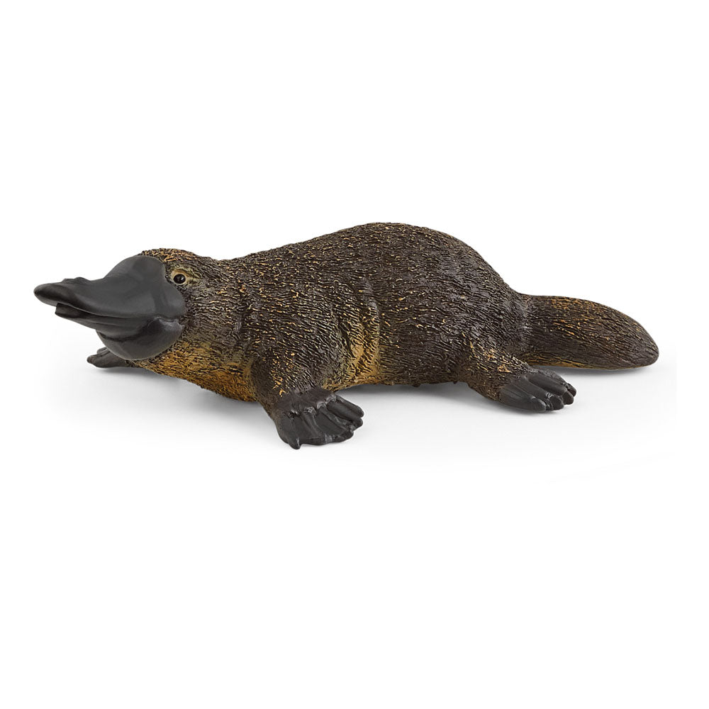 SCHLEICH Wild Life Platypus Toy Figure, 3 to 8 Years, Black/Brown (14840)