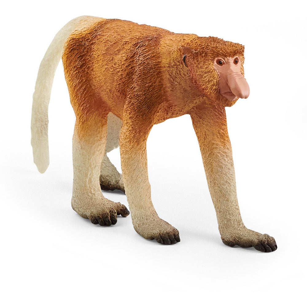 SCHLEICH Wild Life Proboscis Monkey Toy Figure, 3 to 8 Years, Multi-colour (14846)