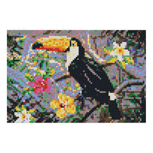 Load image into Gallery viewer, SES CREATIVE Toucan Beedz Art Mosaic Kit, 7000 Iron-on Beads, Unisex, Eight Years and Above, Multi-colour (06002)
