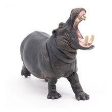 Load image into Gallery viewer, PAPO Wild Animal Kingdom Hippopotamus Toy Figure, Three Years or Above, Grey (50051)
