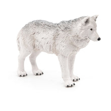 Load image into Gallery viewer, PAPO Wild Animal Kingdom Polar Wolf Toy Figure, Three Years or Above, White (50195)
