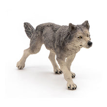 Load image into Gallery viewer, PAPO Wild Animal Kingdom Grey Wolf Toy Figure, Three Years or Above, Grey (53012)
