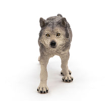 Load image into Gallery viewer, PAPO Wild Animal Kingdom Grey Wolf Toy Figure, Three Years or Above, Grey (53012)
