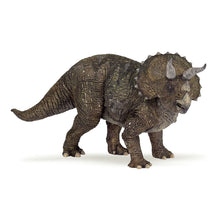 Load image into Gallery viewer, PAPO Dinosaurs Triceratops Toy Figure, Three Years or Above, Multi-colour (55002)

