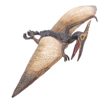 Load image into Gallery viewer, PAPO Dinosaurs Pteranodon Toy Figure, Three Years or Above, Multi-colour (55006)
