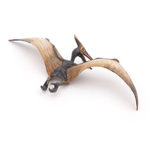 Load image into Gallery viewer, PAPO Dinosaurs Pteranodon Toy Figure, Three Years or Above, Multi-colour (55006)
