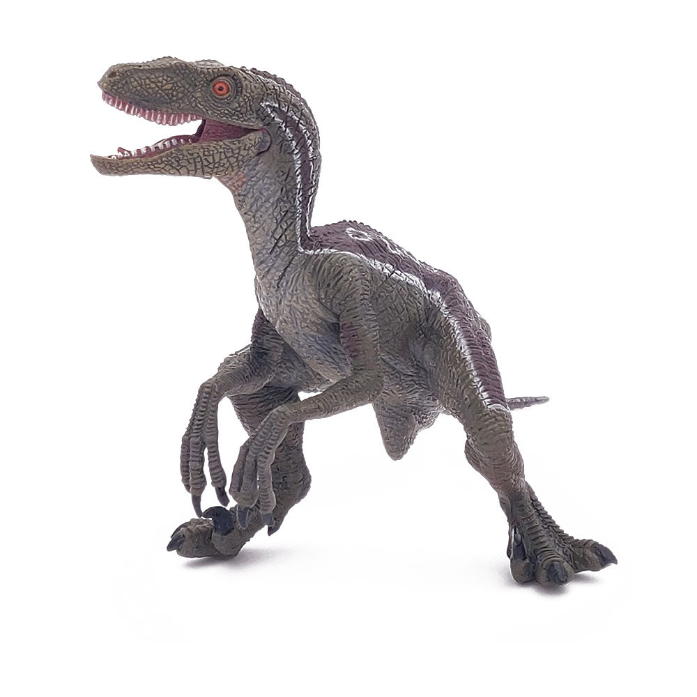 PAPO Dinosaurs Velociraptor Toy Figure, Three Years or Above, Multi-colour (55023)