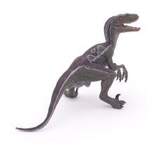 Load image into Gallery viewer, PAPO Dinosaurs Velociraptor Toy Figure, Three Years or Above, Multi-colour (55023)
