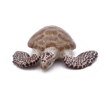 Load image into Gallery viewer, PAPO Marine Life Loggerhead Turtle Toy Figure, Three Years or Above, Multi-colour (56005)
