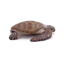 Load image into Gallery viewer, PAPO Marine Life Loggerhead Turtle Toy Figure, Three Years or Above, Multi-colour (56005)
