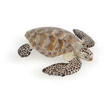 Load image into Gallery viewer, PAPO Marine Life Loggerhead Turtle Toy Figure, Three Years or Above, Multi-colour (56005)
