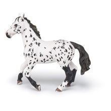 Load image into Gallery viewer, PAPO Horse and Ponies Black Appaloosa Horse Toy Figure, Three Years or Above, White/Black (51539)
