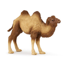 Load image into Gallery viewer, PAPO Wild Animal Kingdom Bactrian Camel Toy Figure, Three Years or Above, Brown (50129)
