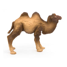 Load image into Gallery viewer, PAPO Wild Animal Kingdom Bactrian Camel Toy Figure, Three Years or Above, Brown (50129)
