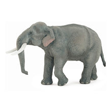 Load image into Gallery viewer, PAPO Wild Animal Kingdom Asian Elephant Toy Figure, Three Years or Above, Grey (50131)
