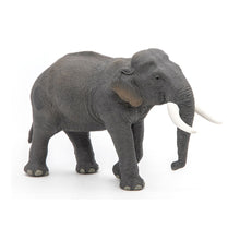 Load image into Gallery viewer, PAPO Wild Animal Kingdom Asian Elephant Toy Figure, Three Years or Above, Grey (50131)
