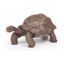 Load image into Gallery viewer, PAPO Wild Animal Kingdom Galapagos Tortoise Toy Figure, Three Years or Above, Green (50161)
