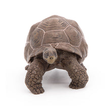 Load image into Gallery viewer, PAPO Wild Animal Kingdom Galapagos Tortoise Toy Figure, Three Years or Above, Green (50161)
