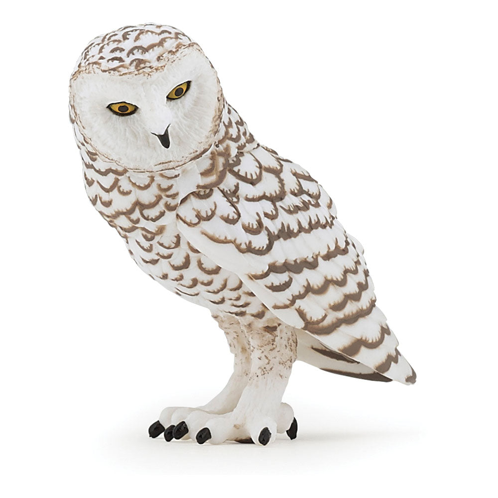 PAPO Wild Animal Kingdom Snowy Owl Toy Figure, Three Years or Above, Black/White (50167)