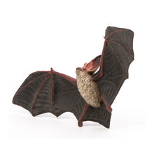 Load image into Gallery viewer, PAPO Wild Animal Kingdom Bat Toy Figure, Three Years or Above, Multi-colour (50239)
