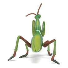 Load image into Gallery viewer, PAPO Wild Animal Kingdom Praying Mantis Toy Figure, Three Years or Above, Green (50244)
