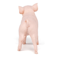 Load image into Gallery viewer, PAPO Farmyard Friends Female Piglet Toy Figure, Three Years or Above, Pink (51136)
