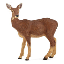 Load image into Gallery viewer, PAPO Wild Animal Kingdom Doe Toy Figure, Three Years or Above, Brown (53014)
