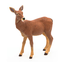Load image into Gallery viewer, PAPO Wild Animal Kingdom Doe Toy Figure, Three Years or Above, Brown (53014)
