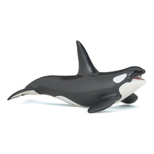 Load image into Gallery viewer, PAPO Marine Life Killer Whale Toy Figure, Three Years or Above, Black/White (56000)
