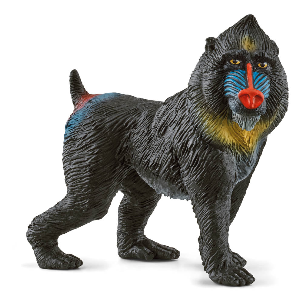 SCHLEICH Wild Life Mandrill Toy Figure, 3 to 8 Years, Multi-colour (14856)