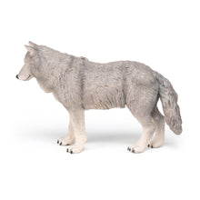 Load image into Gallery viewer, PAPO Large Figurines Large Wolf Toy Figure (50211)
