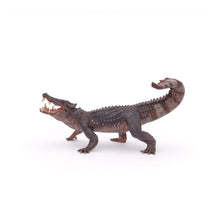 Load image into Gallery viewer, PAPO Dinosaurs Kaprosuchus Toy Figure (55056)
