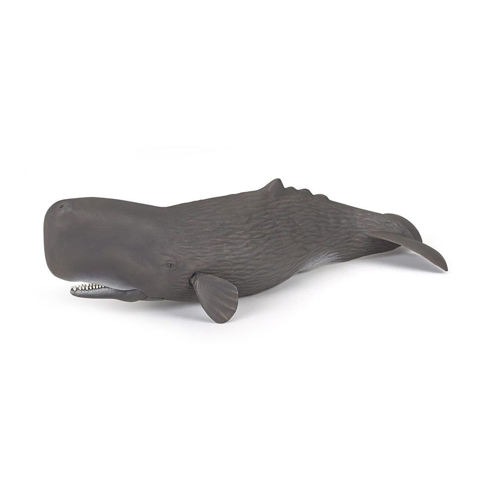 PAPO Marine Life Sperm Whale Toy Figure (56036)