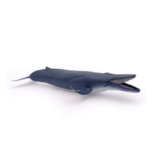 Load image into Gallery viewer, PAPO Marine Life Blue Whale Toy Figure (56037)
