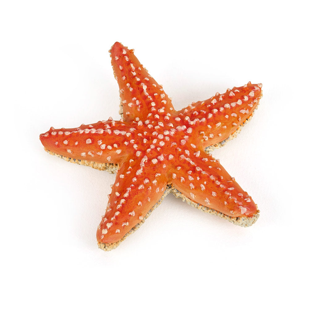 PAPO Marine Life Starfish Toy Figure (56050)