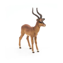 Load image into Gallery viewer, PAPO Wild Animal Kingdom Impala Toy Figure (50186)
