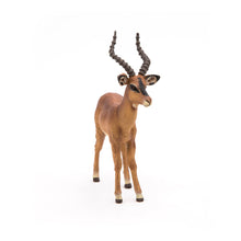 Load image into Gallery viewer, PAPO Wild Animal Kingdom Impala Toy Figure (50186)
