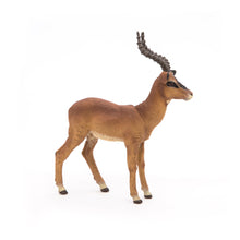 Load image into Gallery viewer, PAPO Wild Animal Kingdom Impala Toy Figure (50186)
