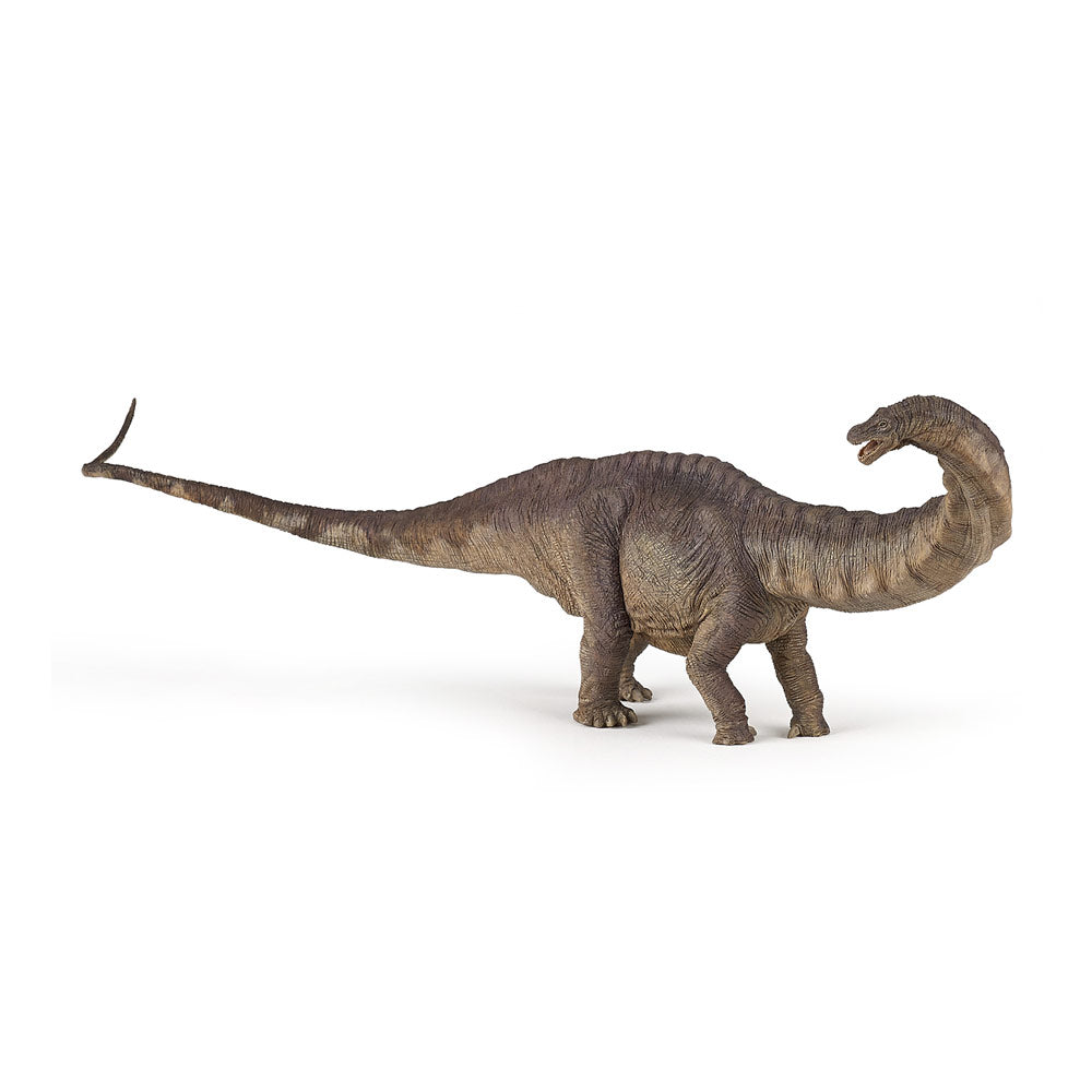 PAPO Dinosaurs Apatosaurus Toy Figure (55039)