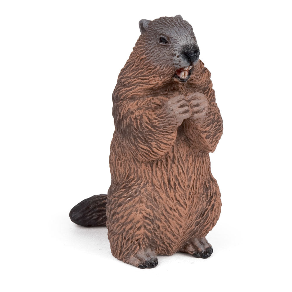 PAPO Wild Animal Kingdom Marmot Toy Figure (50128)