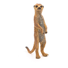 Load image into Gallery viewer, PAPO Wild Animal Kingdom Standing Meerkat Toy Figure (50206)

