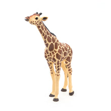 Load image into Gallery viewer, PAPO Wild Animal Kingdom Giraffe Head Up Toy Figure (50236)
