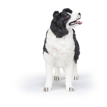 Load image into Gallery viewer, PAPO Dog and Cat Companions Border Collie Toy Figure (54008)
